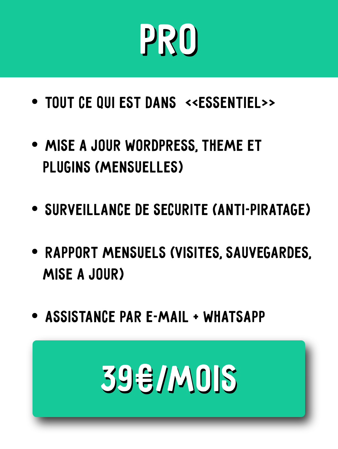 Abonnement standard à 40 € par mois – mises à jour et assistance avancée pour site internet
