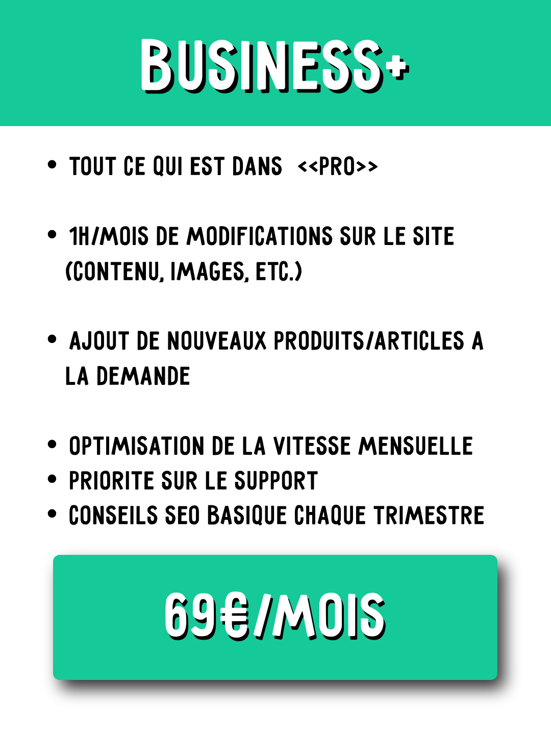 Abonnement premium à 60 € par mois – gestion complète et optimisation SEO pour site professionnel